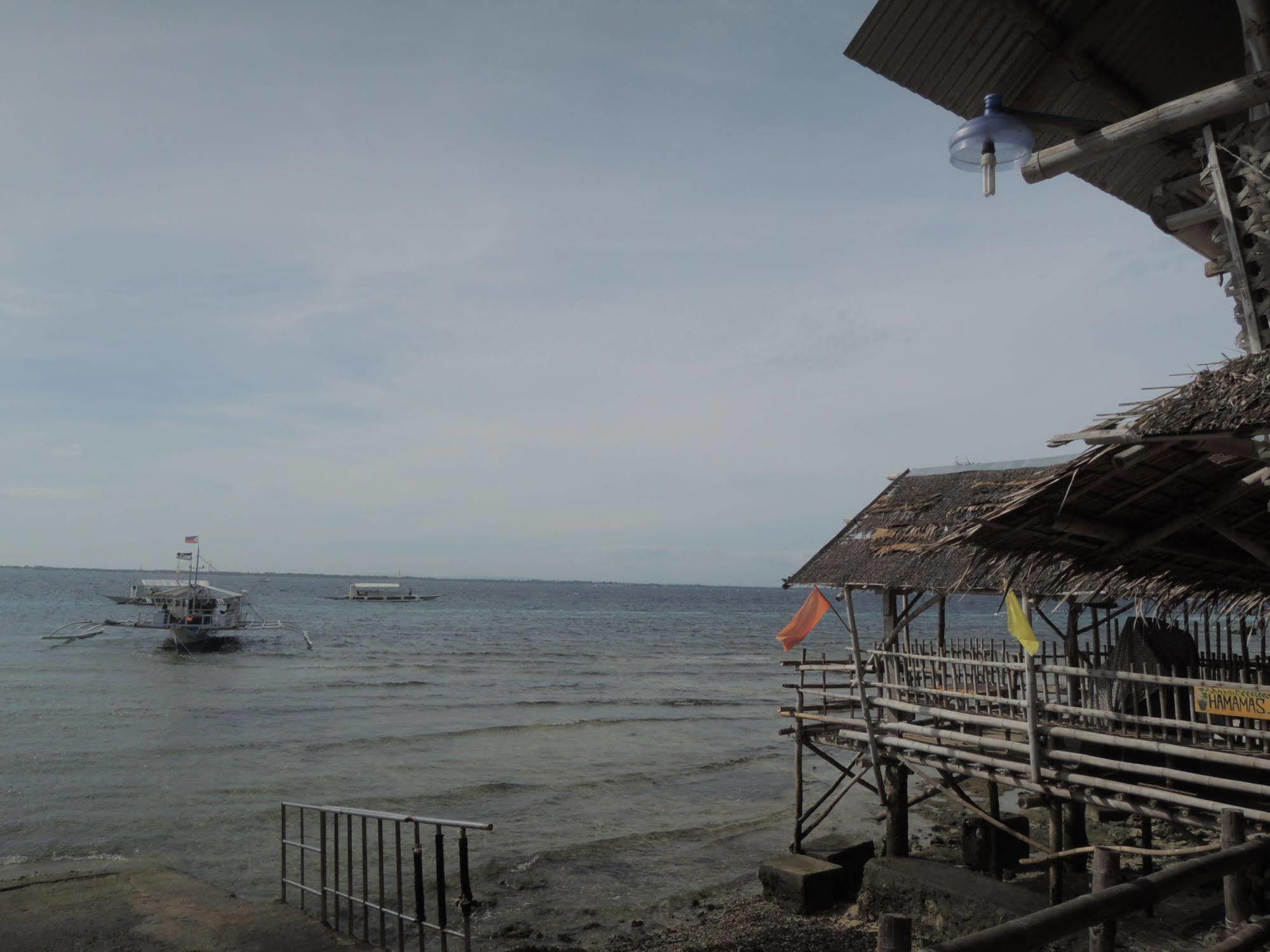 Kawayan Marine Village Beach Resort Lapu-Lapu City Eksteriør billede